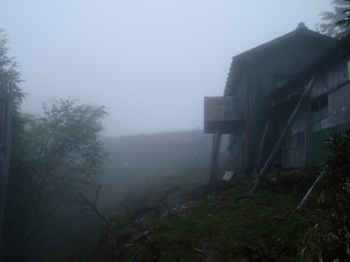 d0083859_2012679.jpg