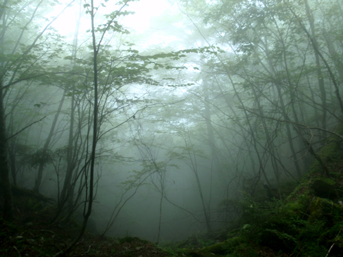 d0083859_2091370.jpg