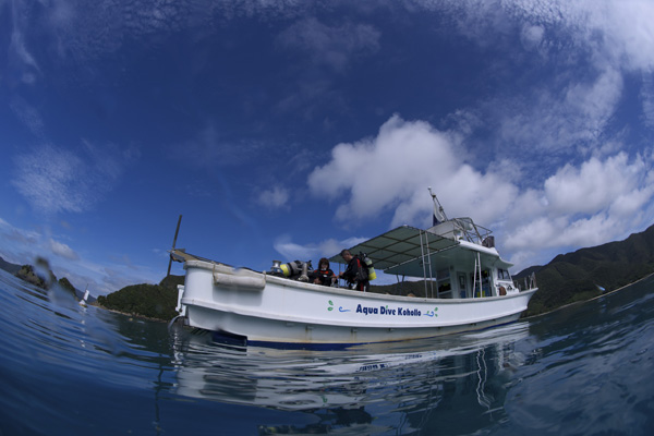 b0062363_8542845.jpg