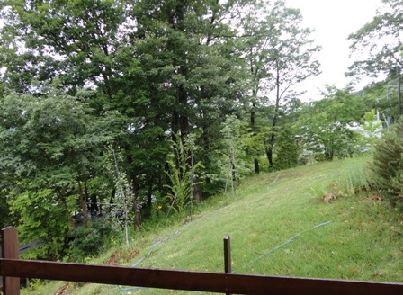 d0152765_1021110.jpg