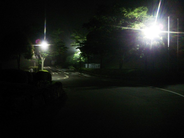 f0131165_19401819.jpg