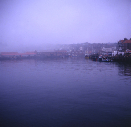 b0011771_2313167.jpg