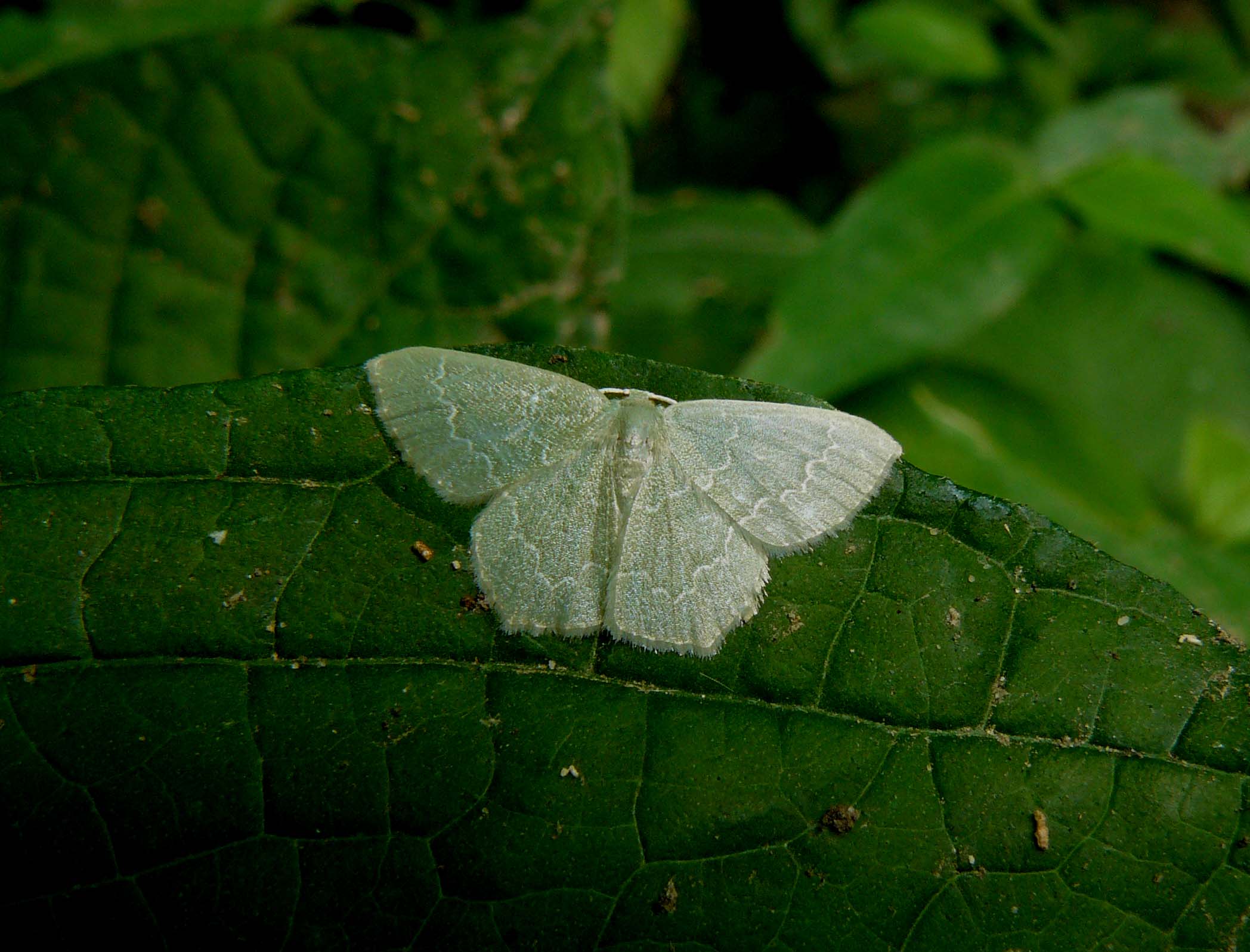 d0019074_1013550.jpg