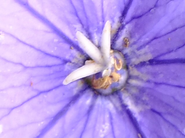 e0145782_18174154.jpg