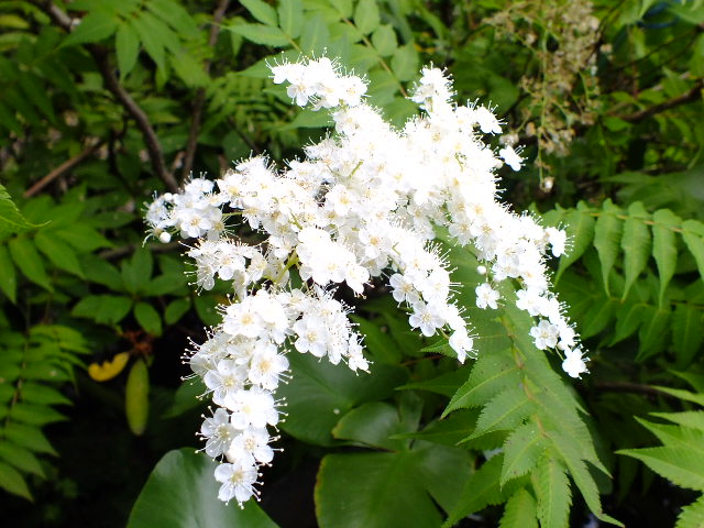 e0145782_1825078.jpg