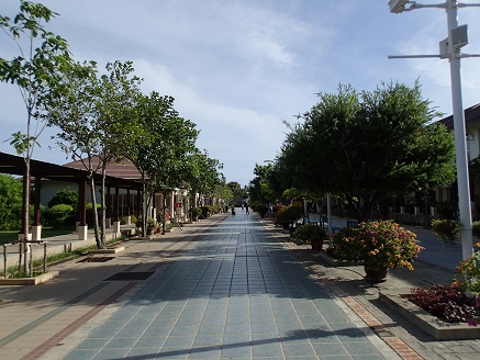a0109187_12182245.jpg
