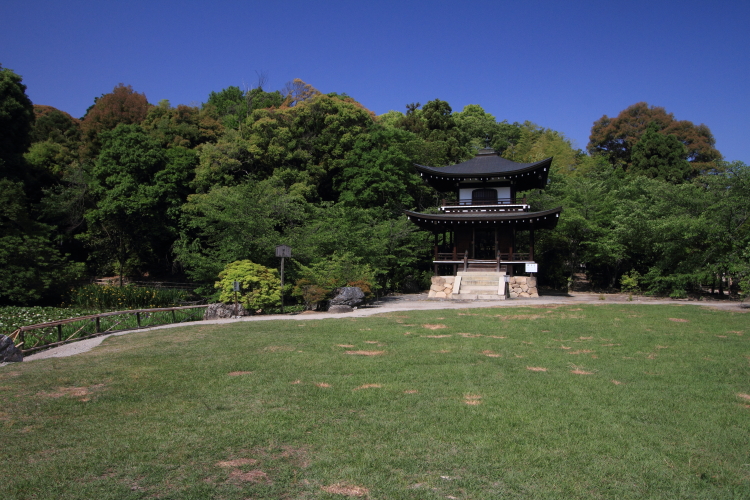 e0051888_522171.jpg