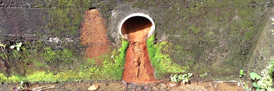 c0170789_10411150.jpg