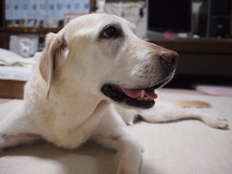 c0028792_052688.jpg