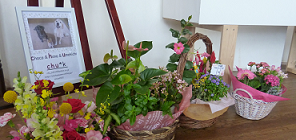 d0282395_2258085.png
