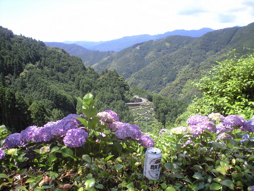 a0143296_15475657.jpg