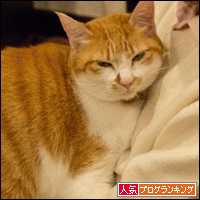 人気ブログランキングへ