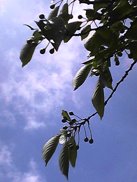 b0128805_22563590.jpg