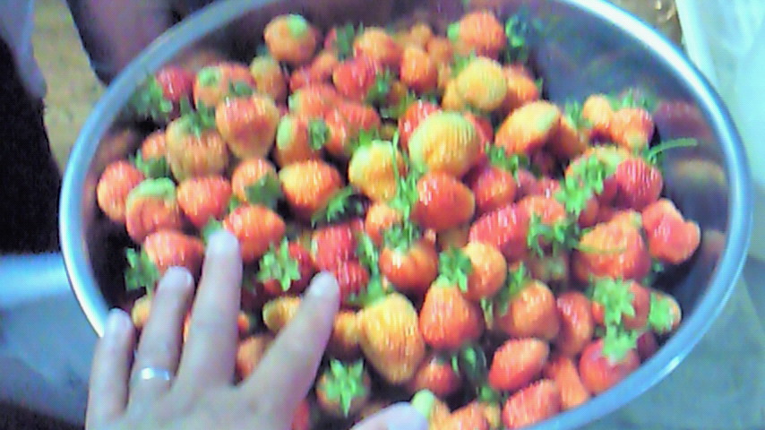 d0149105_18475167.jpg
