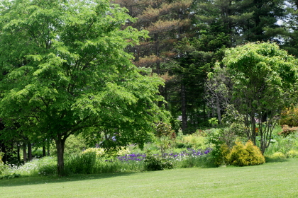 f0041606_16564271.jpg