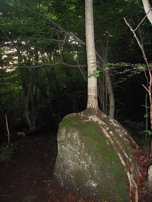 b0277008_1091570.jpg