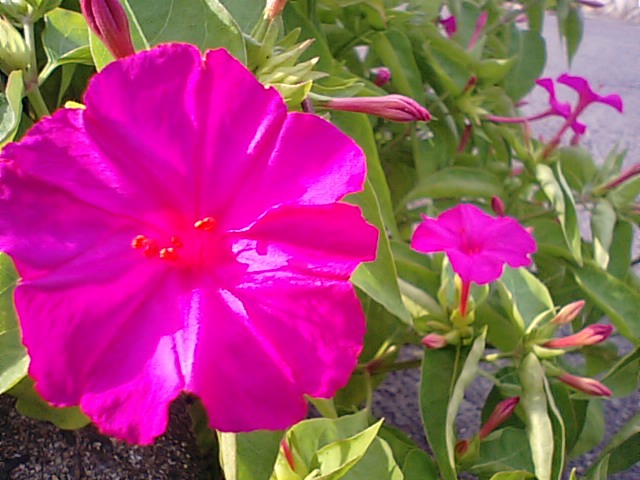 f0231709_21382667.jpg