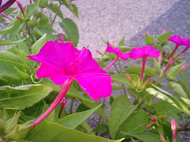 f0231709_2139455.jpg