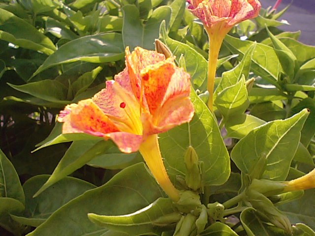 f0231709_21401154.jpg