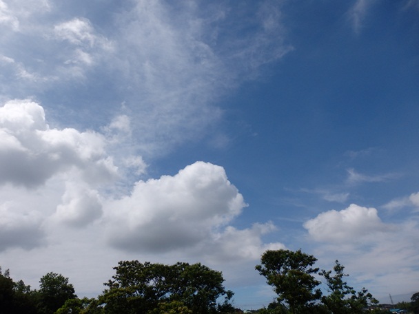 b0289815_10352822.jpg