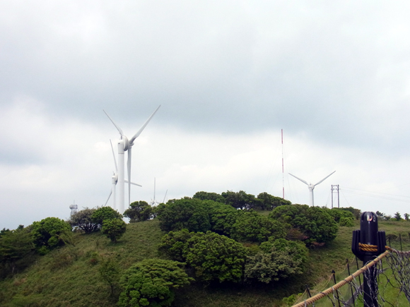 e0083517_1513665.jpg