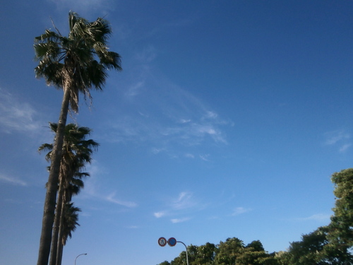 c0201731_9165293.jpg