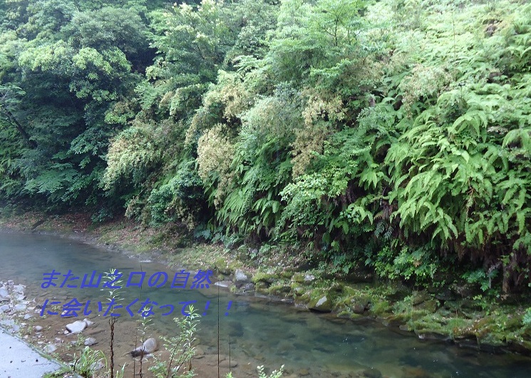 a0206332_8434866.jpg