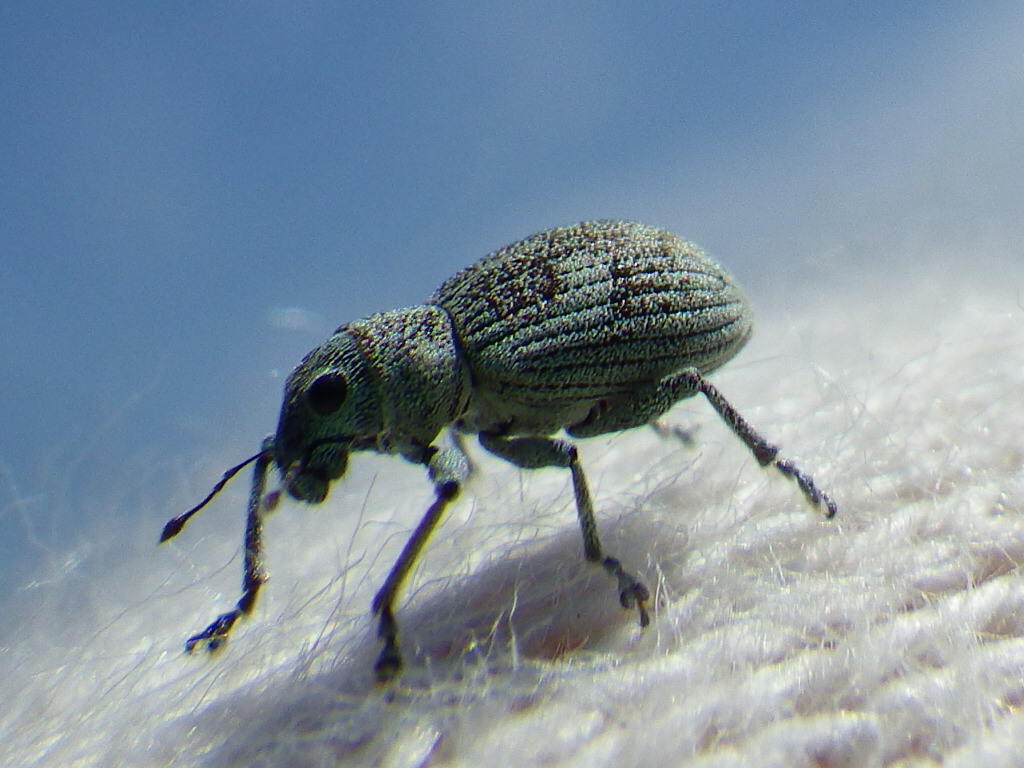 f0118332_2140476.jpg