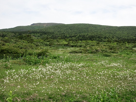 f0003138_18424516.jpg