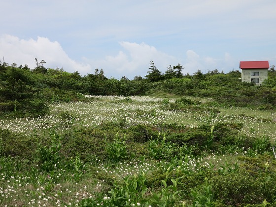 f0003138_1846255.jpg