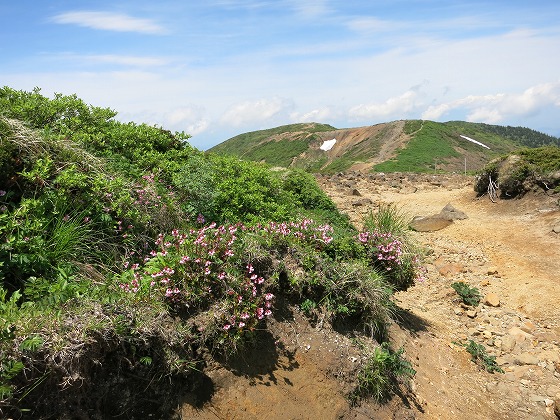 f0003138_1850685.jpg