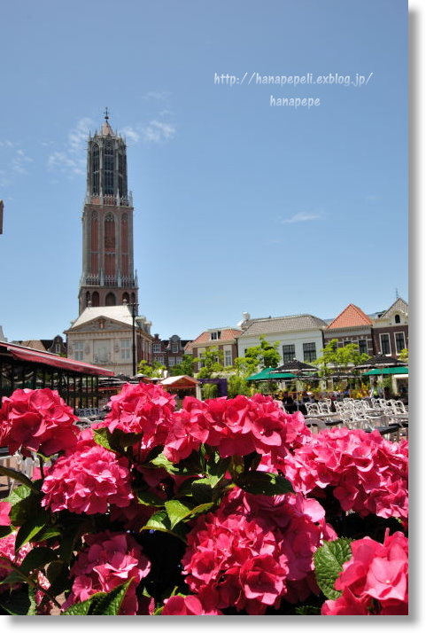 a0145741_21324469.jpg