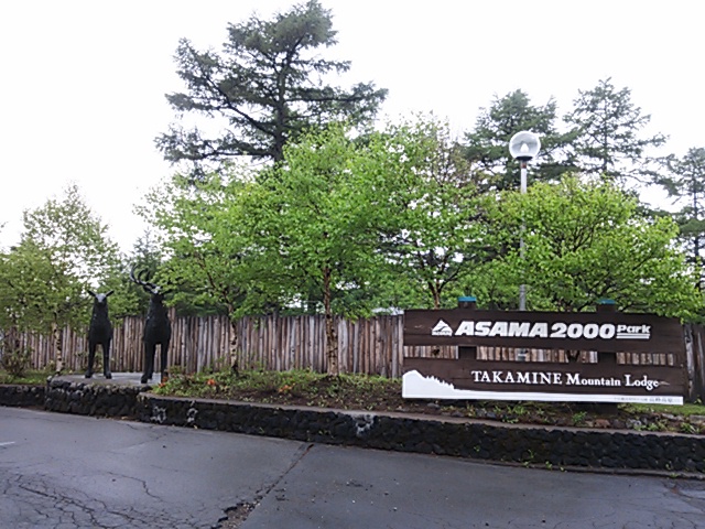 a0292043_1485545.jpg