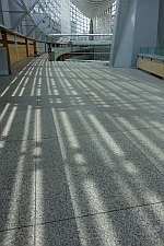 e0080345_8171295.jpg
