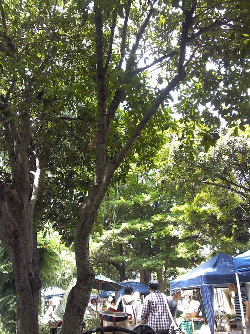 e0224046_22263480.jpg