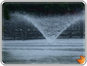 b0133752_23523884.gif