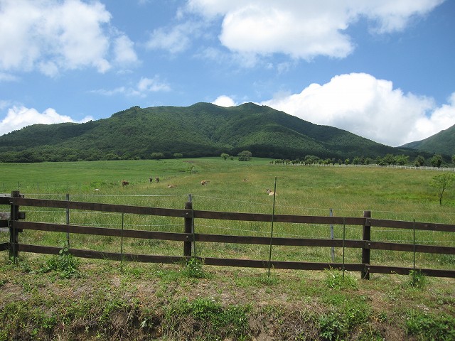 d0031853_1613371.jpg