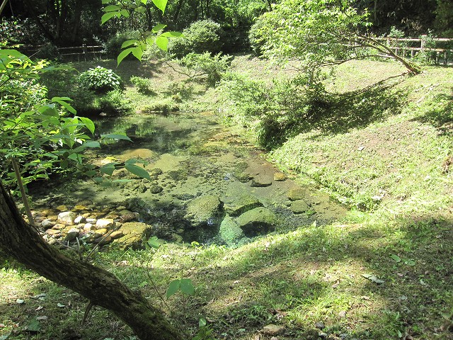 d0031853_1684541.jpg
