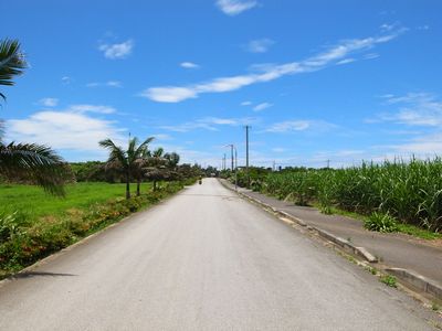 c0198559_1764086.jpg