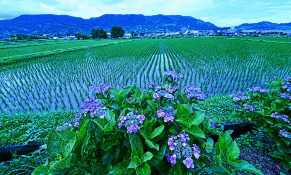 a0150260_2221181.jpg