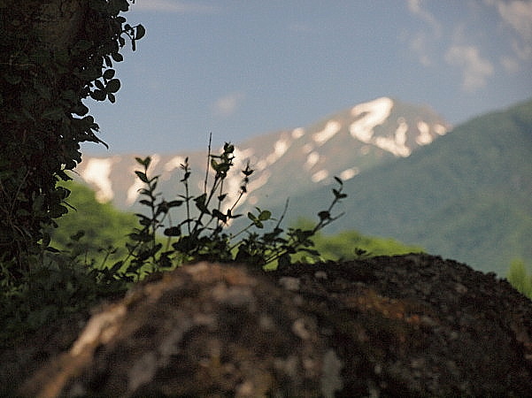 f0215964_17592594.jpg