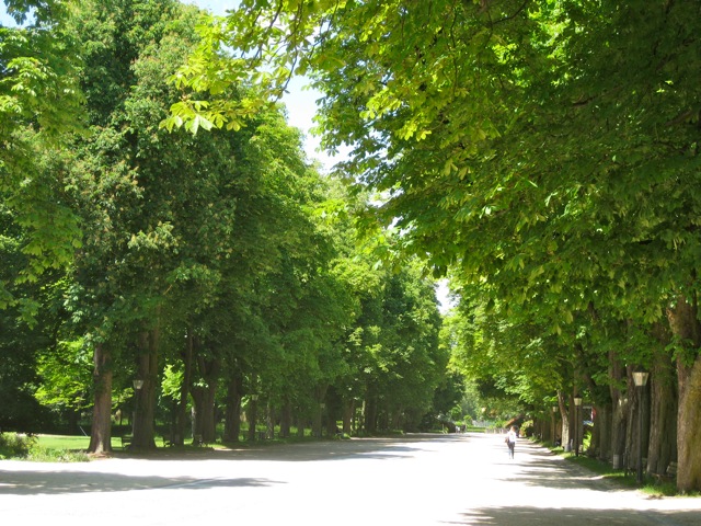 c0194065_22511617.jpg