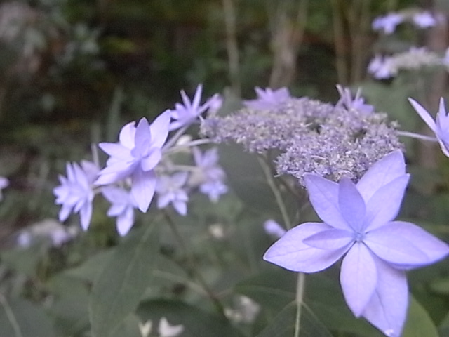 a0146070_6262780.jpg