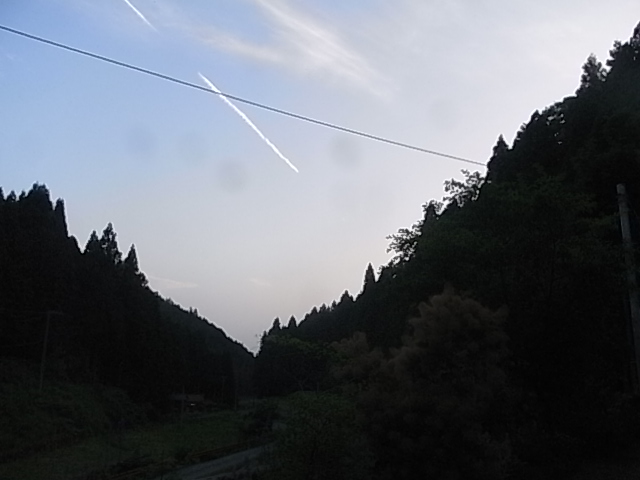 a0146070_628925.jpg
