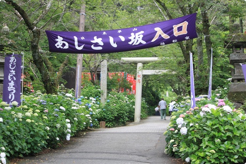 e0330372_7454431.jpg