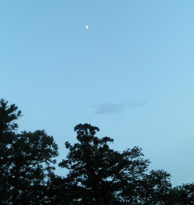 f0101679_19572611.jpg