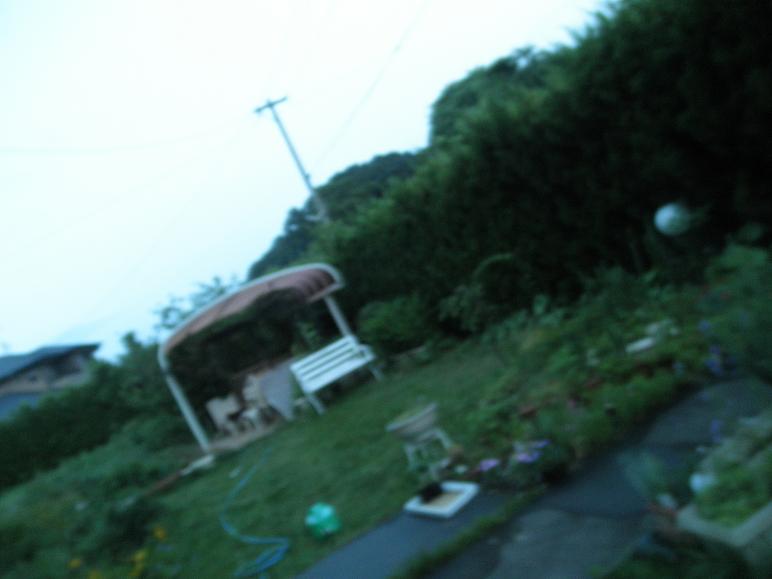 f0101679_19594968.jpg