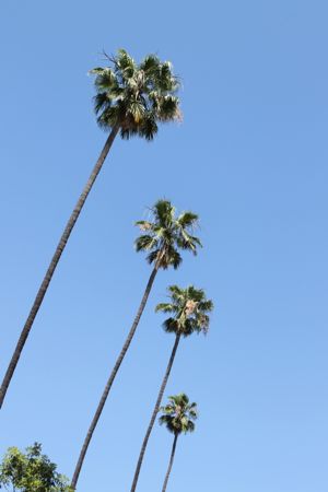 f0245389_4363295.jpg