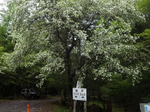 e0271890_17391673.jpg