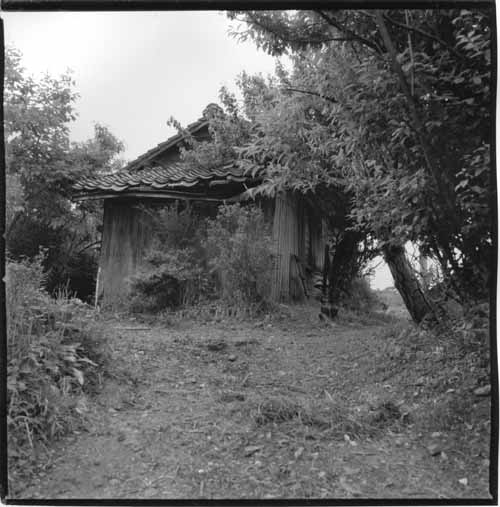 f0173596_19495068.jpg